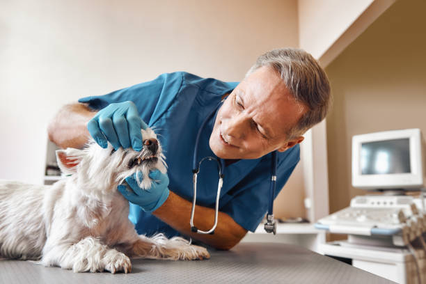 Best Broken Tooth Emergency  in Ocean View, DE